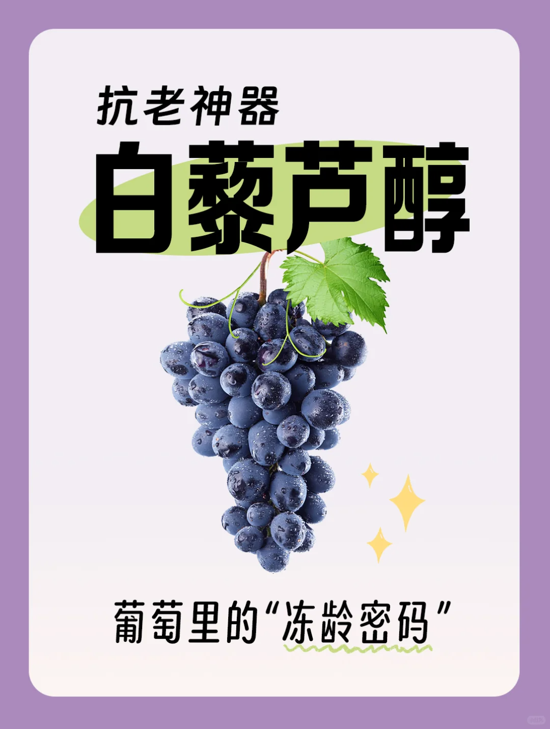 白藜芦醇：大自然的“守护卫士”怎么说？香港保健品工厂为您说明