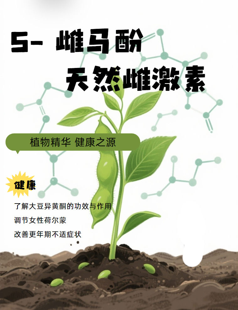S-雌马酚：如何从肠道到细胞，精准应对女性更年期健康？进口保健品代工厂为你解答